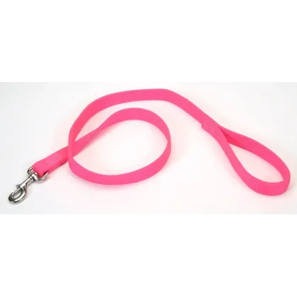 Coastal Double-Ply Nylon Dog Leash Neon Pink 1ea/1 In X 4 ft