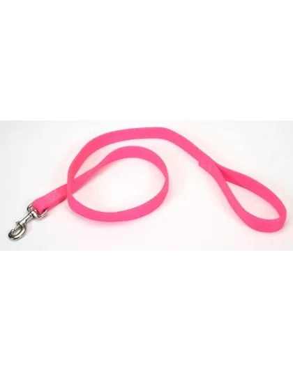 Coastal Double-Ply Nylon Dog Leash Neon Pink 1ea/1 In X 4 ft